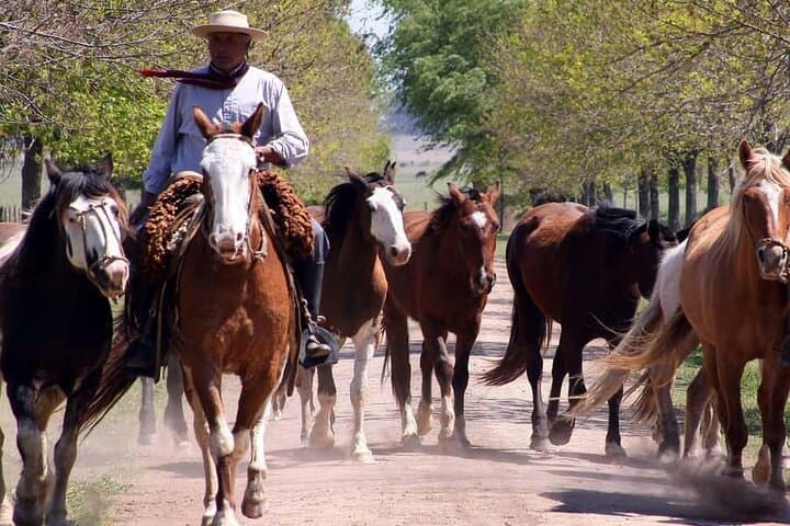 Authentic Gaucho Ranch Near San Antonio de Areco: Ride with True Gauchos photo 2