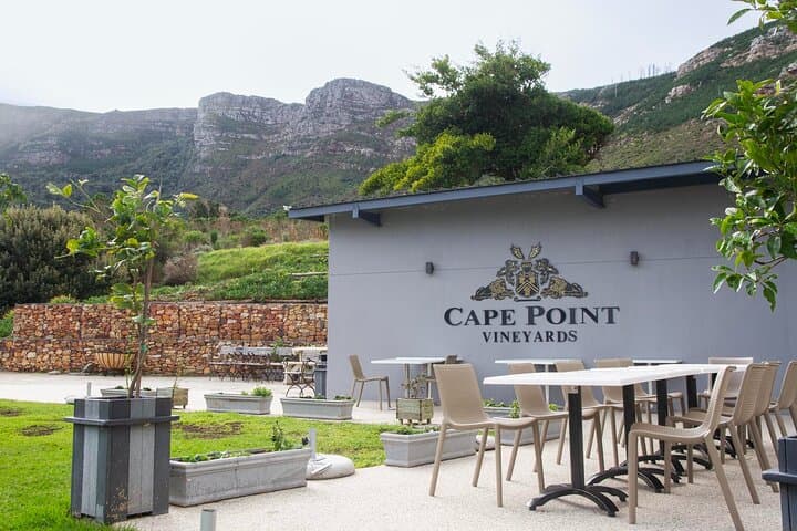 Private Cape Town Tour: Table Mountain, Boulders Penguins & Cape Point