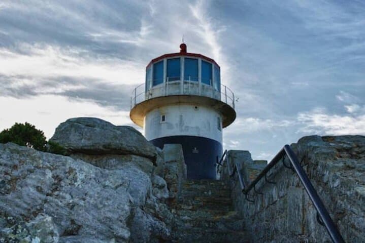 Private Cape Town Tour: Table Mountain, Boulders Penguins & Cape Point photo 4