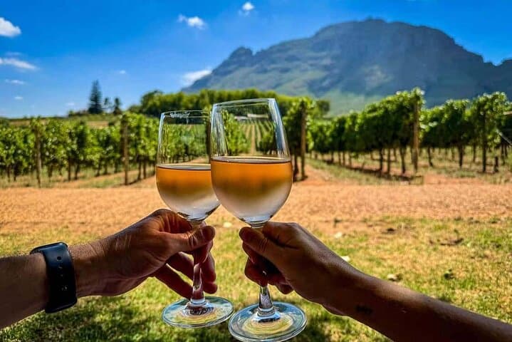 Kefalonia Wine Tour: 18 Tastings Across Three Wineries by Mt Ainos photo 2