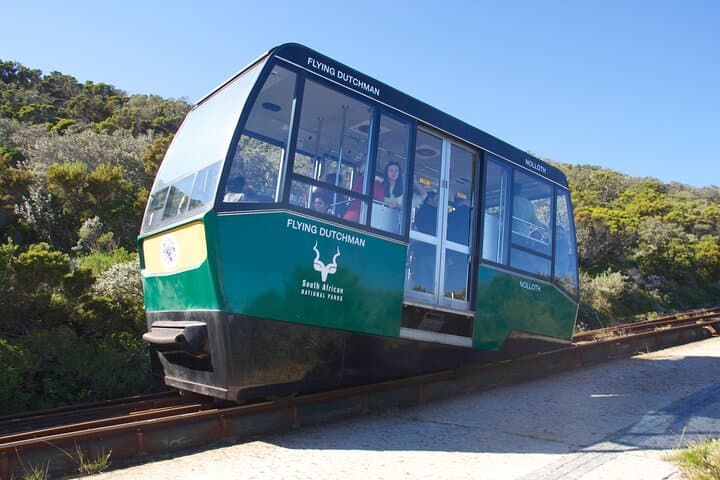 Private Cape Town Tour: Table Mountain, Boulders Penguins & Cape Point photo 5