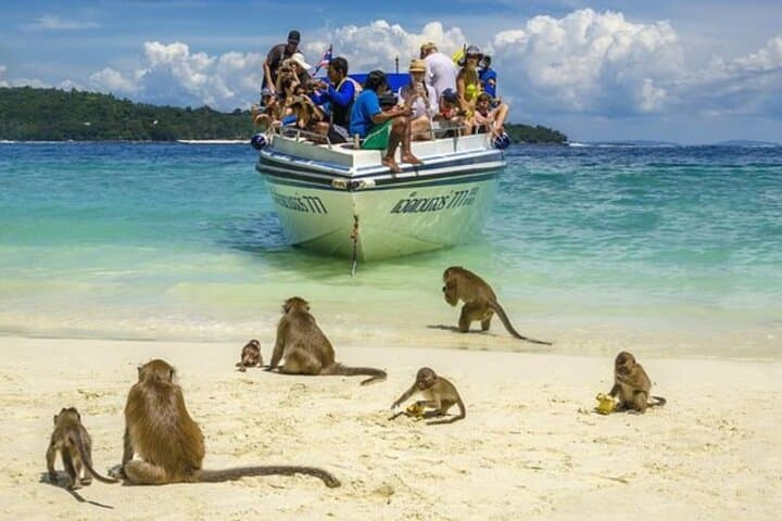 Phi Phi & Khai Nok Speedboat Day Trip from Phuket: Maya Bay, Pileh Lagoon and Snorkeling photo 4