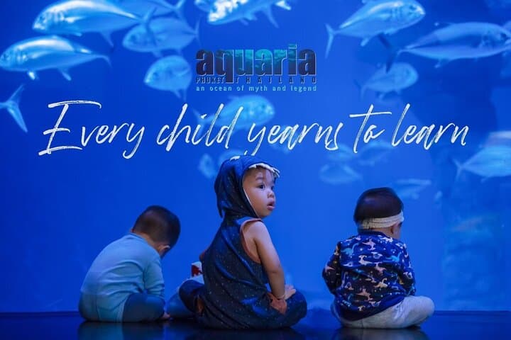 Phuket Aquaria & AR Trickeye Museum Ticket — Aquarium Tunnel and 3D Photo Museum Guide photo 4