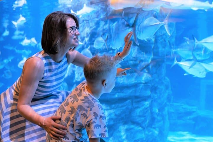 Phuket Aquaria & AR Trickeye Museum Ticket — Aquarium Tunnel and 3D Photo Museum Guide photo 5