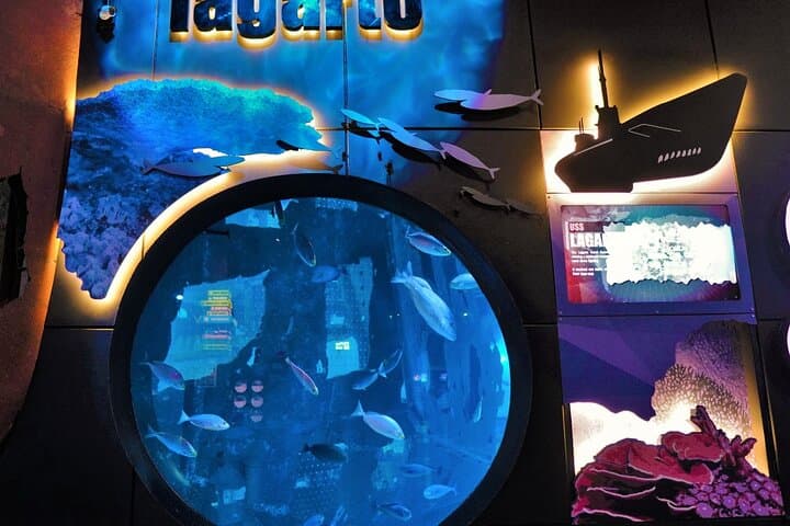 Phuket Aquaria & AR Trickeye Museum Ticket — Aquarium Tunnel and 3D Photo Museum Guide photo 6