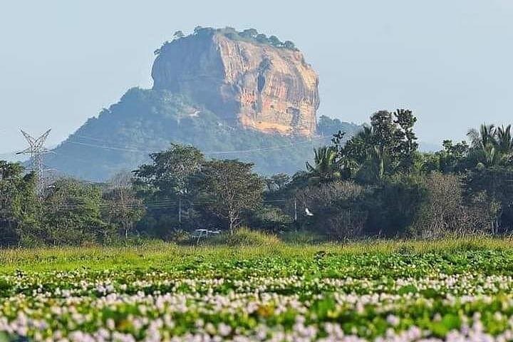Sigiriya Rock and Kaudulla Safari: Ancient Fortress to Elephant Herds photo 1