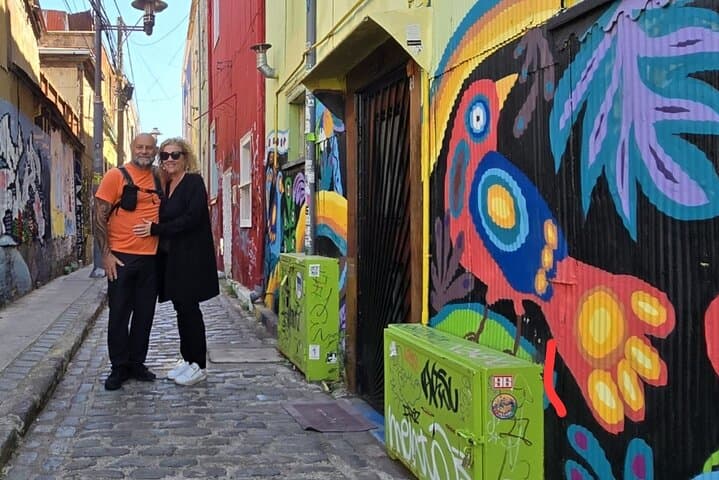 Valparaíso & Casablanca Valley: Small-Group Day Tour with Winery Tasting photo 2