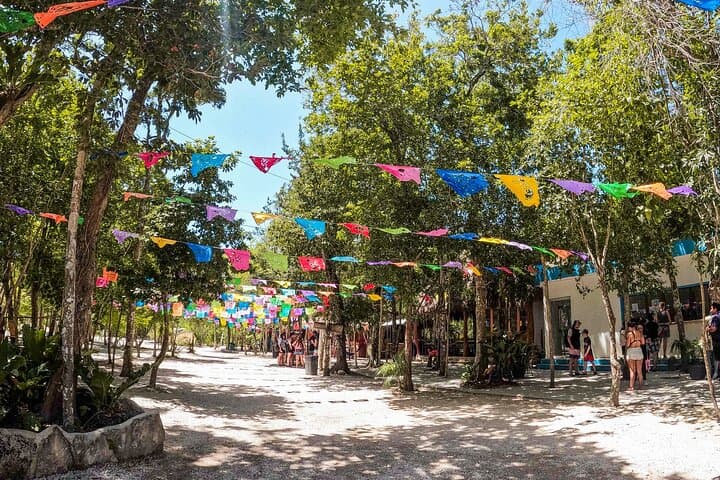 Casa Tortuga Cenotes: 4-Cenote Day Pass with Zipline, Kayak & Taco Buffet photo 3