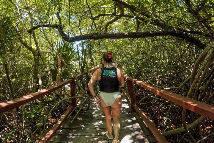 Casa Tortuga Cenotes: 4-Cenote Day Pass with Zipline, Kayak & Taco Buffet photo 5