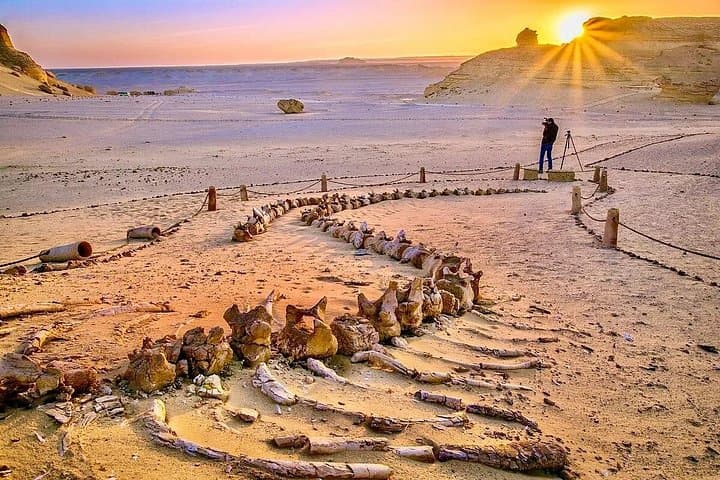 Fayoum Day Trip: Lake Qarun, Wadi El Rayan Waterfalls & Tunis Village photo 4