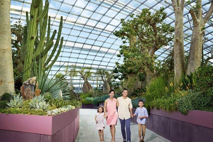 Singapore All-Inclusive Pass: Universal Studios, Gardens by the Bay & Top Attractions photo 6