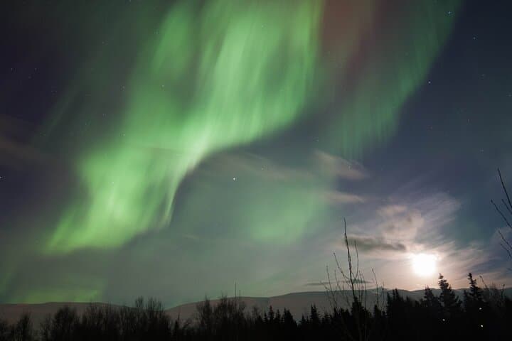 Aurora Hunt from Akureyri: Guided Northern Lights Tour photo 3