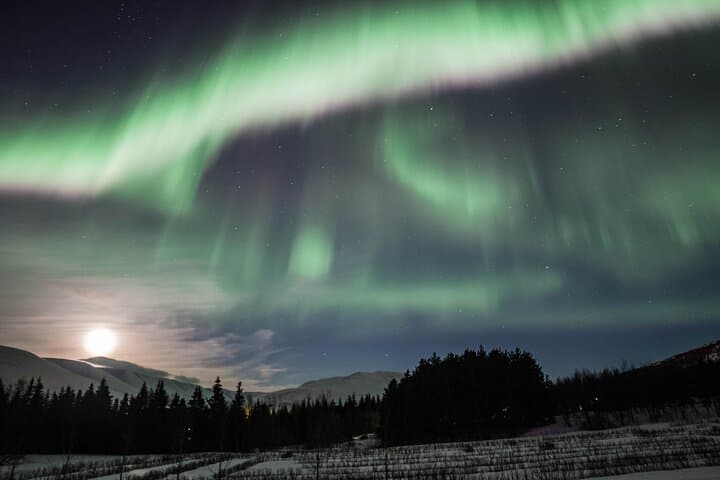 Aurora Hunt from Akureyri: Guided Northern Lights Tour photo 4