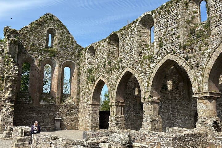 Six-Day Private Tour: Dublin to Galway, Cliffs of Moher, Dingle, Killarney & Blarney photo 5