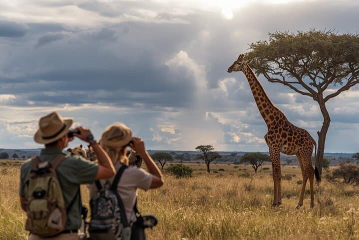 Full Day Big 5 Safari at Aquila Private Game Reserve — Cape Town Safari Experience photo 3
