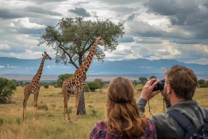 Full Day Big 5 Safari at Aquila Private Game Reserve — Cape Town Safari Experience photo 4