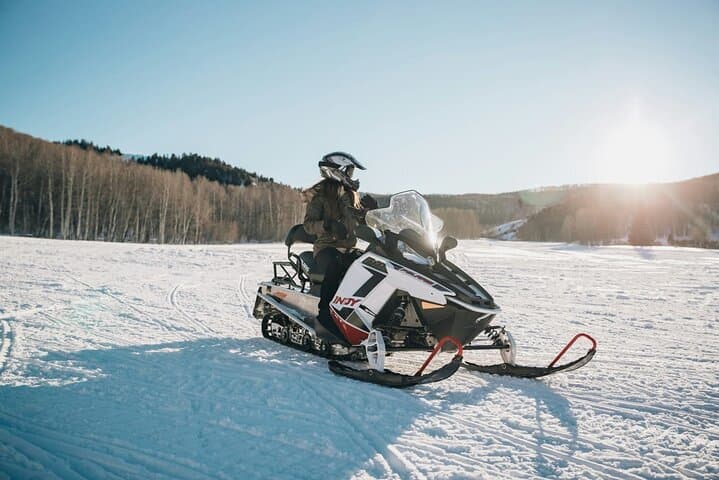 Levi Snowmobile Wilderness Ride: 25km Guided Arctic Safari photo 2