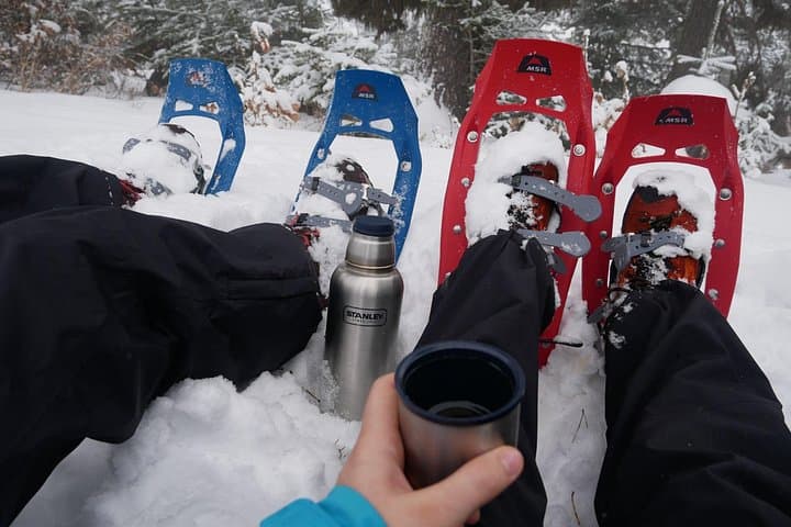 Snowshoe Survival Experience in Levi: Arctic Survival Skills & Forest Trek