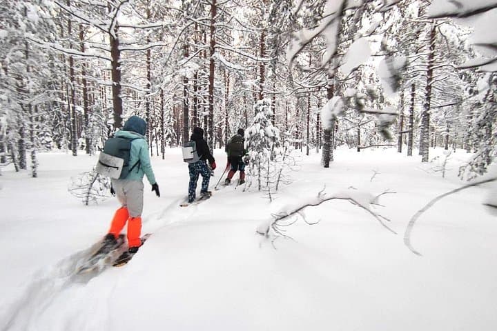 Snowshoe Survival Experience in Levi: Arctic Survival Skills & Forest Trek photo 3