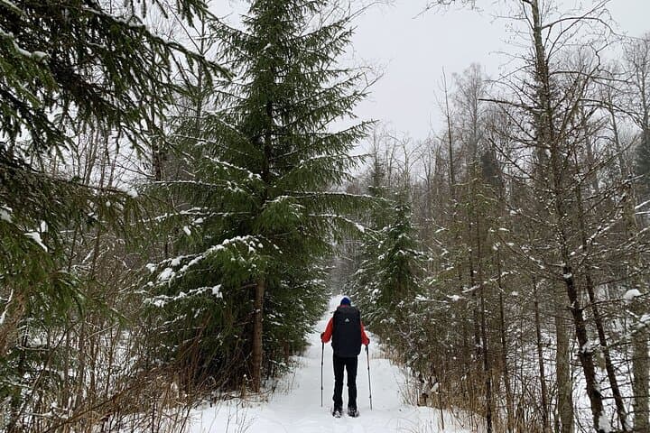 Snowshoe Survival Experience in Levi: Arctic Survival Skills & Forest Trek photo 4