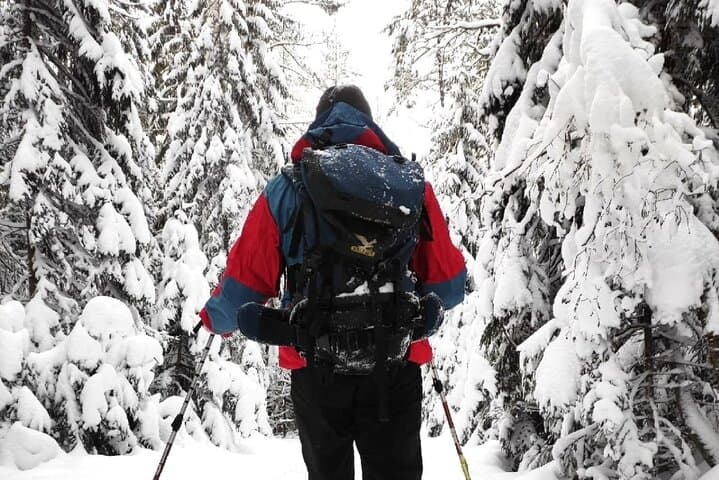 Snowshoe Survival Experience in Levi: Arctic Survival Skills & Forest Trek photo 6