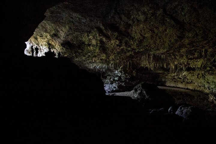 Los Haitises National Park and Cayo Levantado Day Tour from Samaná photo 2
