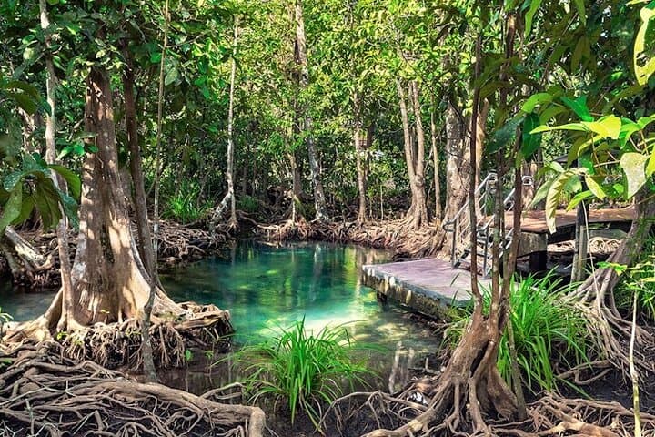 Los Haitises National Park and Cayo Levantado Day Tour from Samaná photo 1