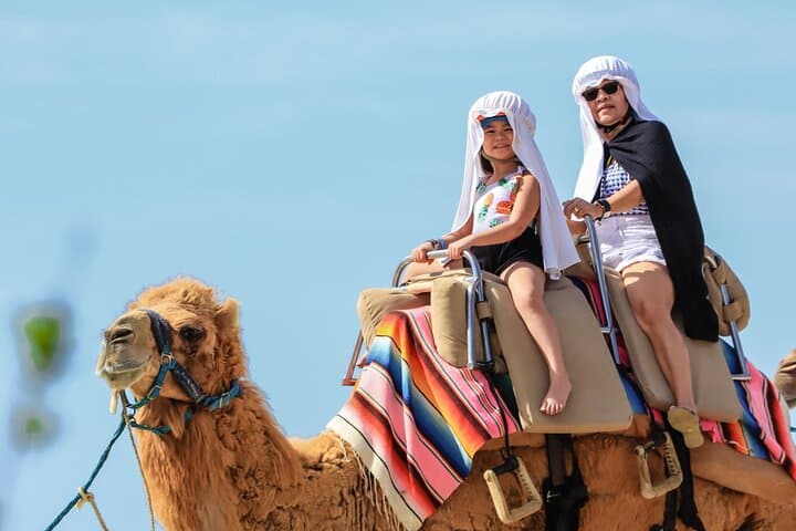 Los Cabos UTV and Camel Combo: Dune Runs, Beach Drives & Tequila Tasting photo 2