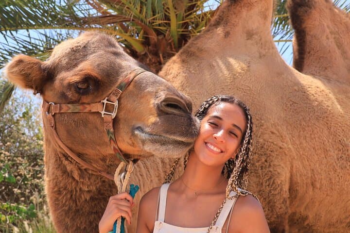 Los Cabos UTV and Camel Combo: Dune Runs, Beach Drives & Tequila Tasting photo 4