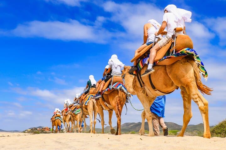 Los Cabos UTV and Camel Combo: Dune Runs, Beach Drives & Tequila Tasting photo 5