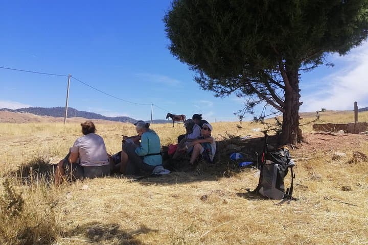 Ifrane National Park Full-Day Hike from Azrou — Cedar Forests & Barbary Macaques photo 2