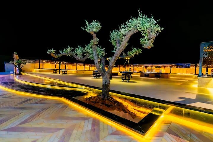 Premium Dubai Desert Safari and ATV Experience: Luxury Camp, Dune Bashing & Sandboarding photo 6