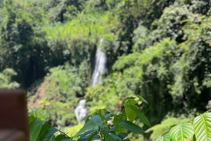 Ubud 4 Waterfall Tour: Kanto Lampo, Tibumana, Suwat & Hidden Gorge in One Day photo 5