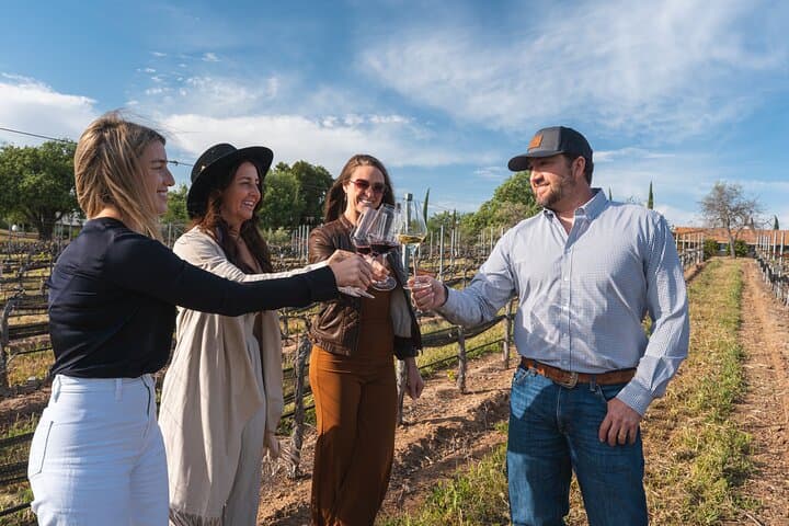 Paso Robles Luxury Winemaker Tour: Private Cadillac Escalade Wine Tasting Experience photo 5