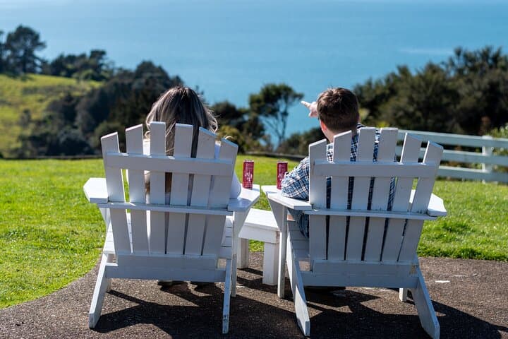 Waiheke Island Wine, Gin & Food Tour — Olive Oil Tastings, Distillery Stop and Beachside Lunch photo 5