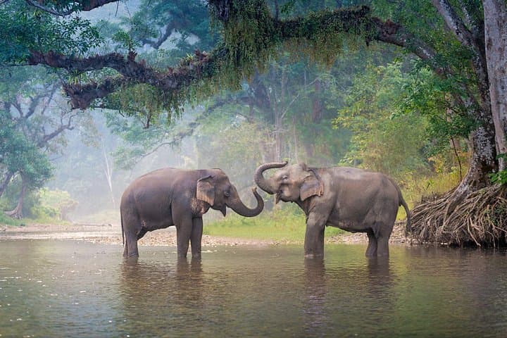 Private Luxury Safari at Yala National Park: Spot Leopards, Elephants & Coastal Wetlands photo 2