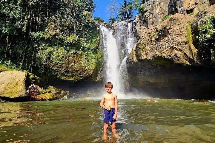 Ubud Waterfalls, Tegalalang Rice Terrace & Jungle Swing Day Tour photo 2
