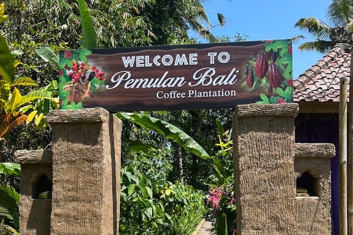 Private Ubud Day Tour: Waterfall, Temple Purification, Coffee Tasting & Tegalalang Rice Fields photo 4