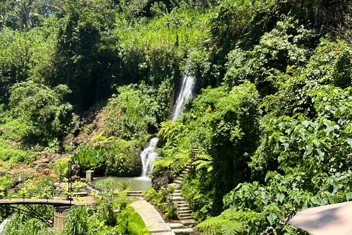Private Ubud Day Tour: Waterfall, Temple Purification, Coffee Tasting & Tegalalang Rice Fields photo 5