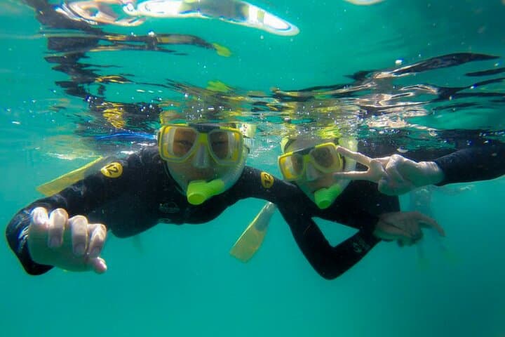 Goat Island Guided Snorkel: Beginner-Friendly Marine Reserve Experience photo 2