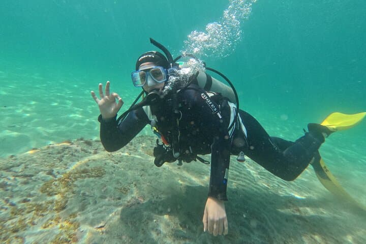 Goat Island Guided Shore Dive — Kelp Forests, Eagle Rays & Macro Caves photo 4