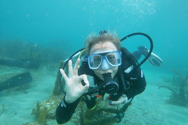 Goat Island Guided Shore Dive — Kelp Forests, Eagle Rays & Macro Caves photo 5