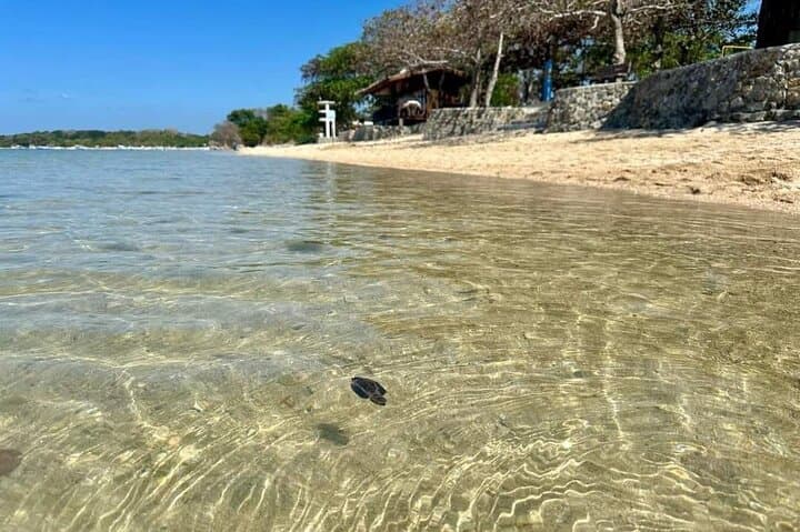 Calatagan Island Hopping & Aquaria Waterpark Day Trip from Manila photo 5