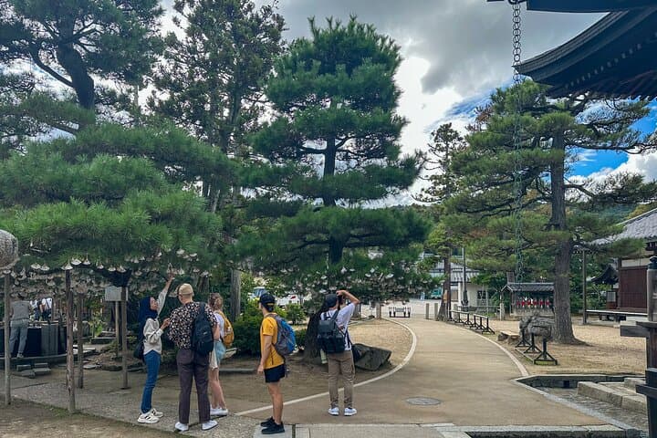 Private Kyoto Day Tour — Amanohashidate, Miyama & Ohara Countryside Escape photo 1