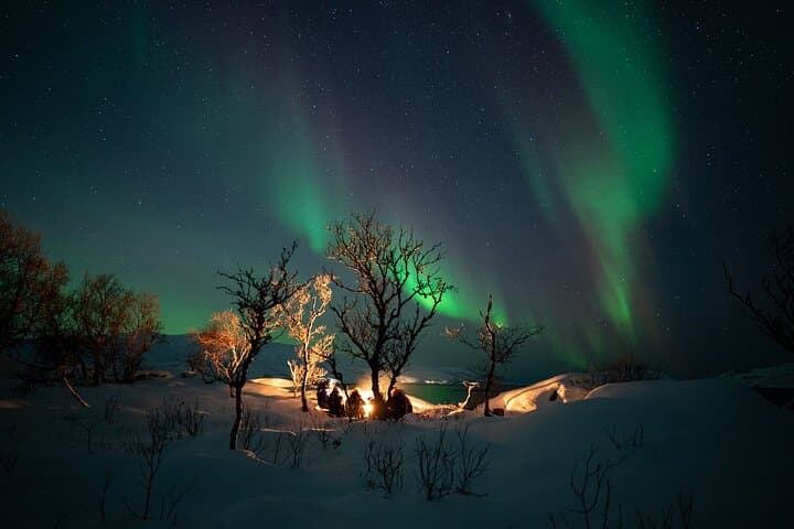 Chase the Aurora: Tromsø Minibus Northern Lights Adventure photo 3