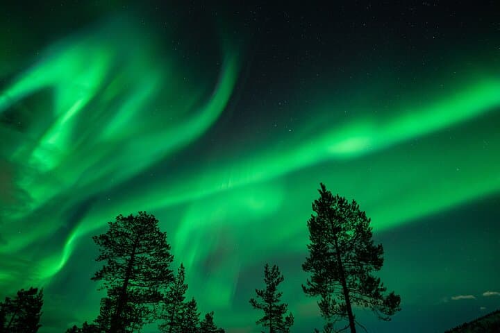 Chase the Aurora: Tromsø Minibus Northern Lights Adventure photo 4