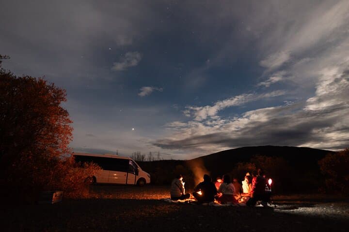 Chase the Aurora: Tromsø Minibus Northern Lights Adventure photo 5