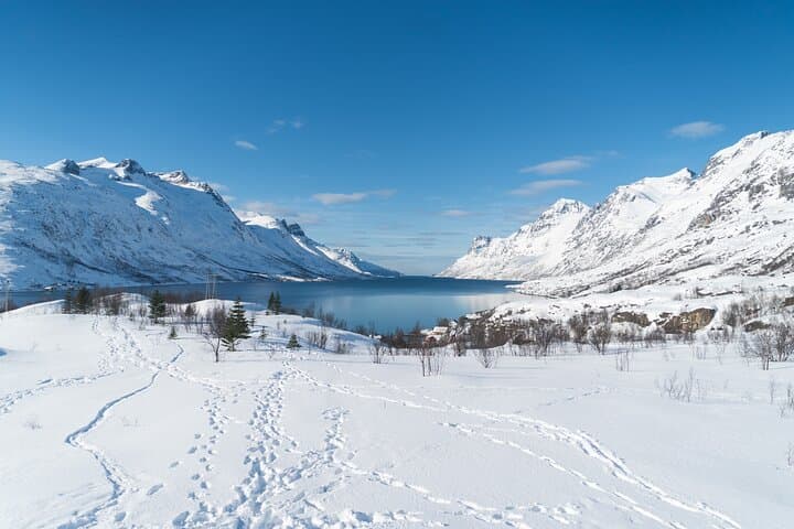 Arctic Fjords Road Trip from Tromsø — Fjords, Wildlife & Scenic Stops photo 1
