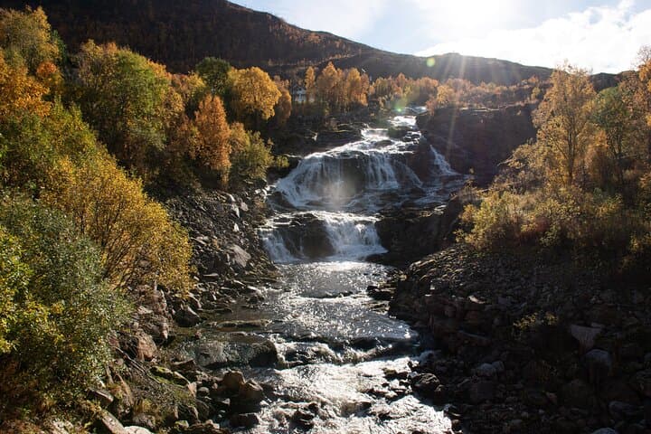 Arctic Fjords Road Trip from Tromsø — Fjords, Wildlife & Scenic Stops photo 3