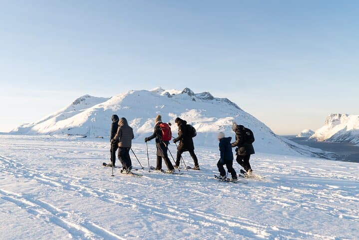 Snowshoe Hike on Kvaløya: Small-Group Arctic Trek from Tromsø